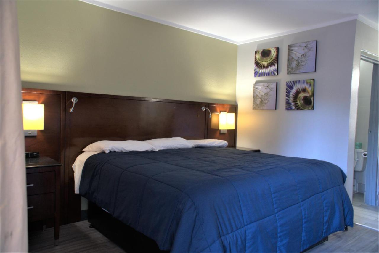 דפני Eastern Shore Motel מראה חיצוני תמונה